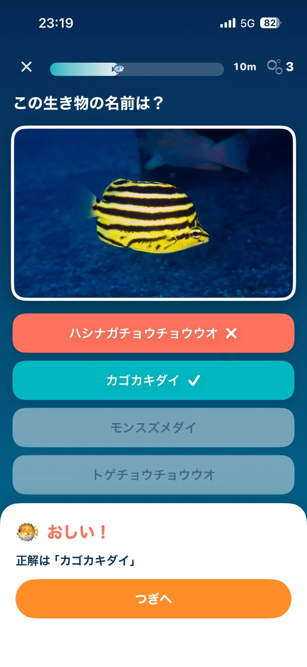 本日のサカナQuizの出題画面