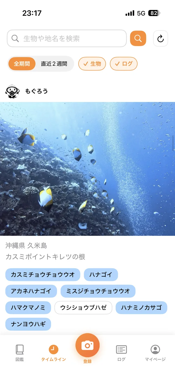 全国の投稿が流れるタイムライン