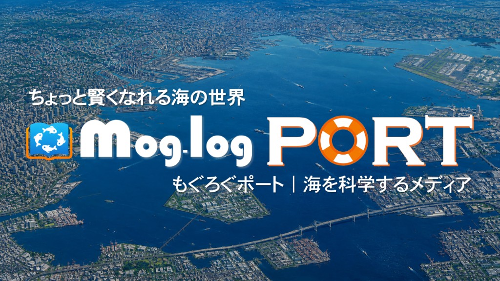 もぐろぐ PORT — ちょっと賢くなれる海の世界。海を科学するメディア