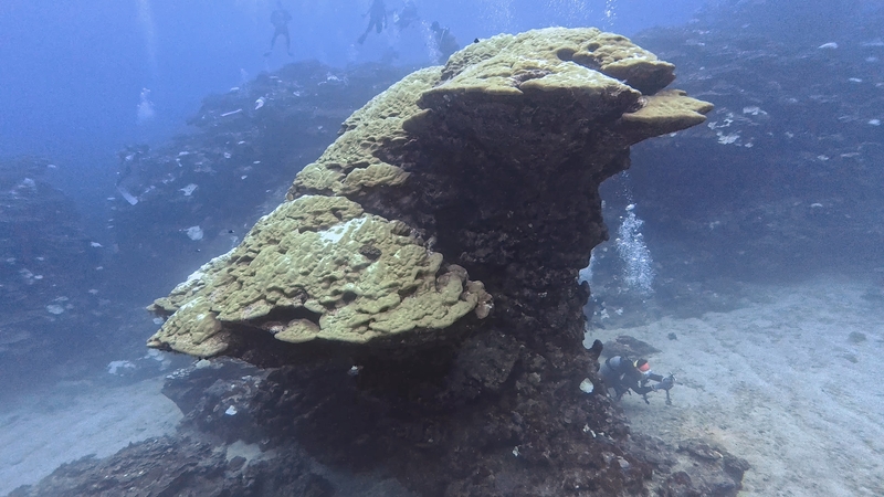 Dive Log Photo